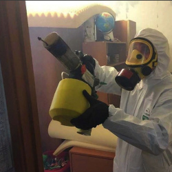 Уничтожение клопов в квартире. Тында